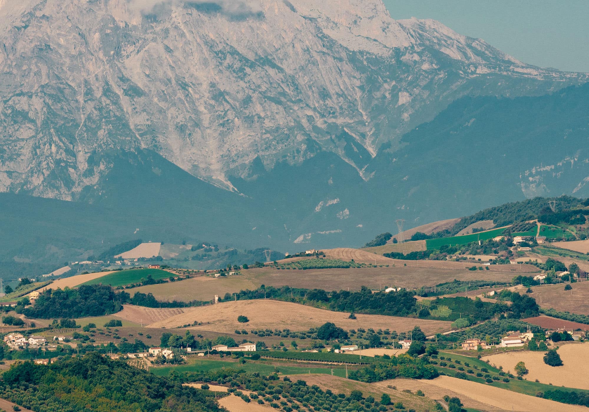 landscape gallery-001