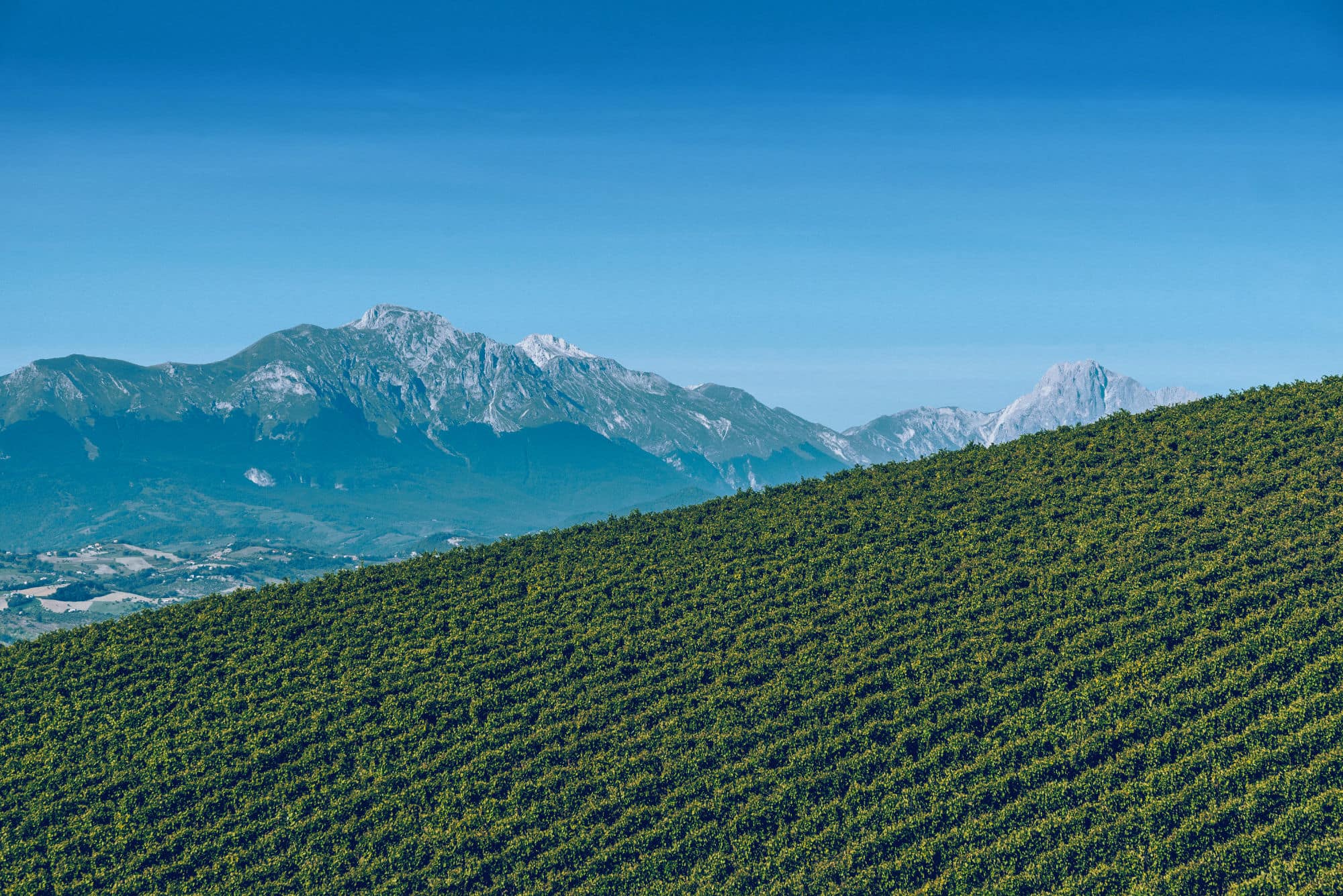 landscape gallery-001