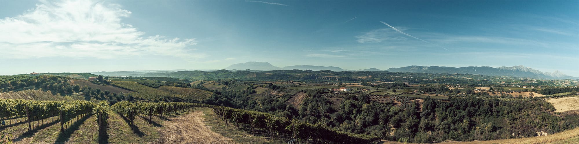 landscape gallery-001