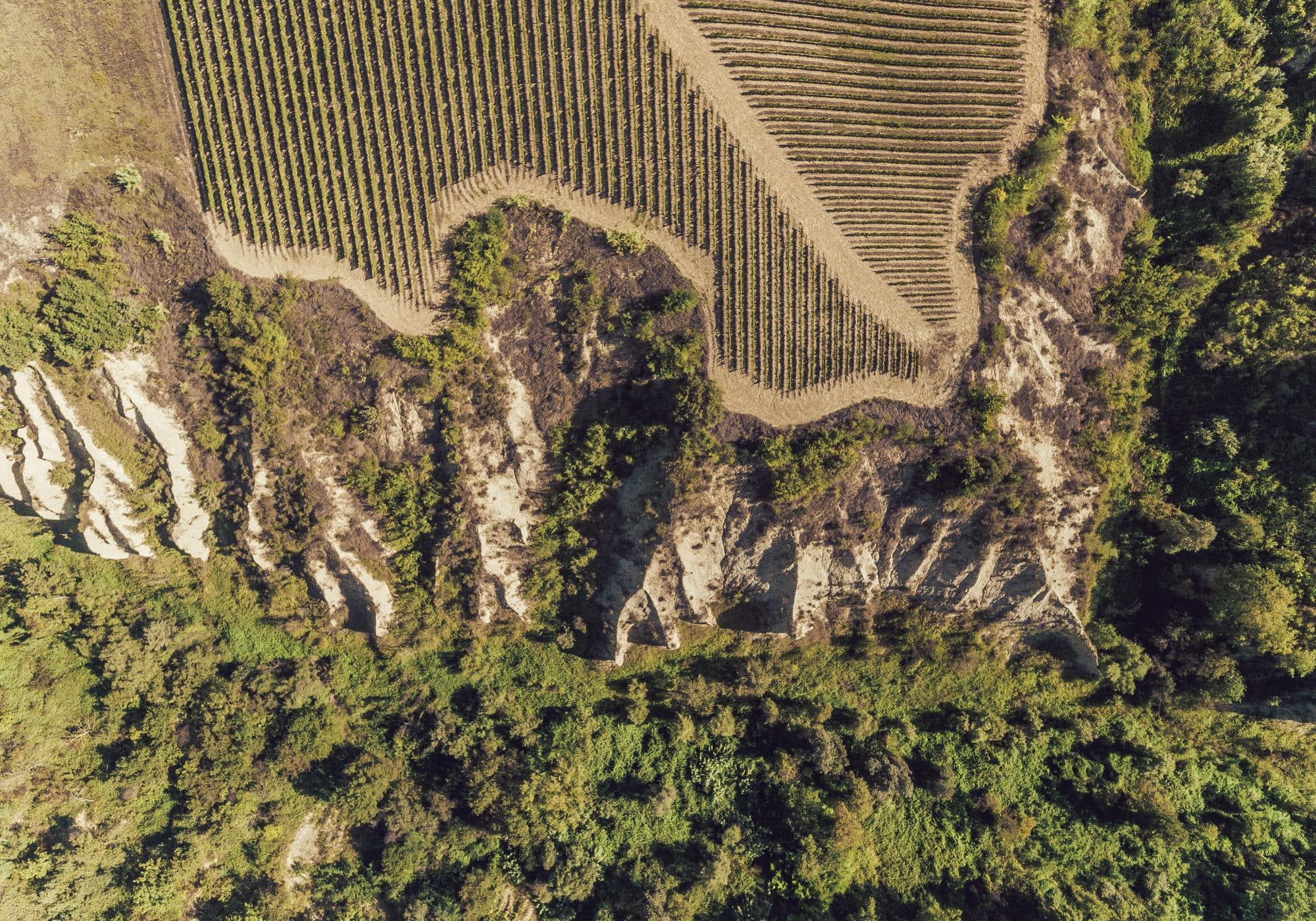 landscape gallery-022